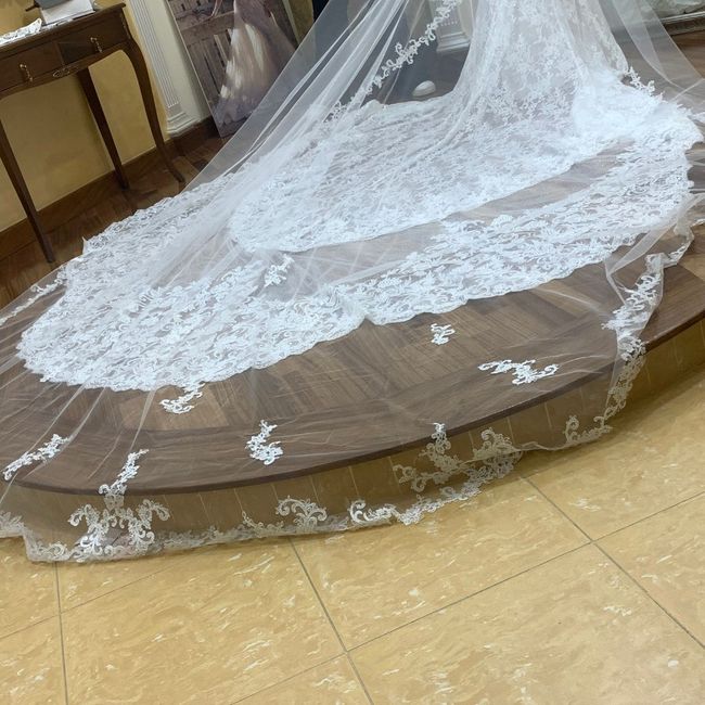 velo Sposa👰‍♀️ 2