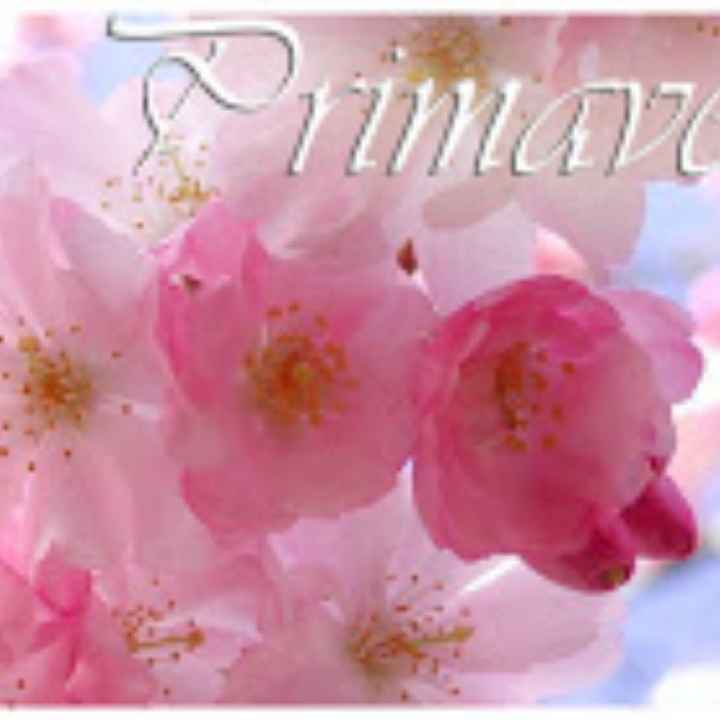 Fiori per ogni mese 😍 - 1