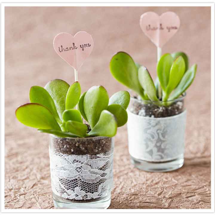 Bomboniera con bulbo - 1