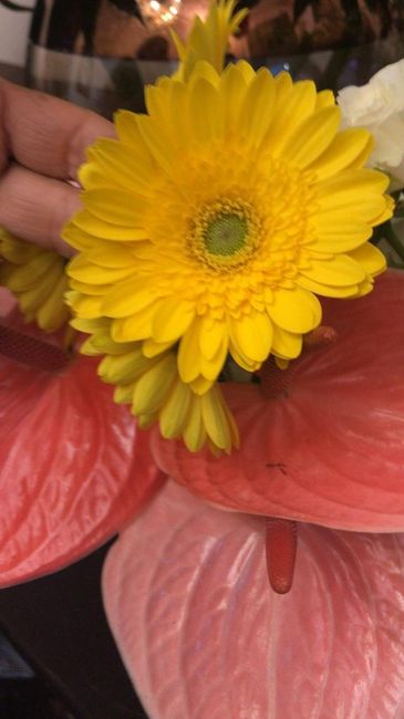 Segnaposto: scelto? - 1