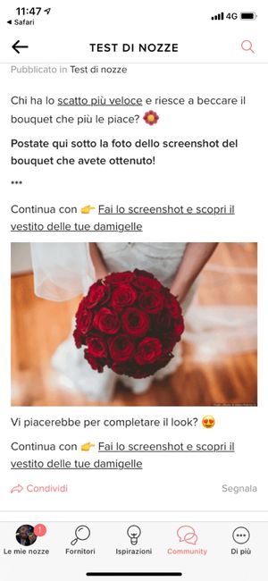 Fai lo screenshot e scopri il tuo bouquet - 1