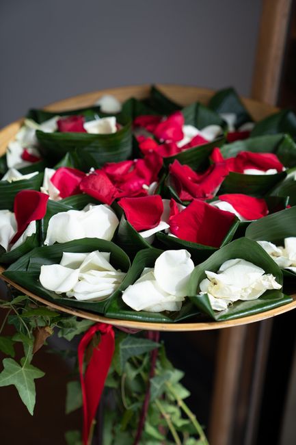 Coni porta riso richiudibili per i petali di fiori? 2