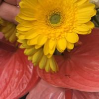 Segnaposto: scelto? - 1