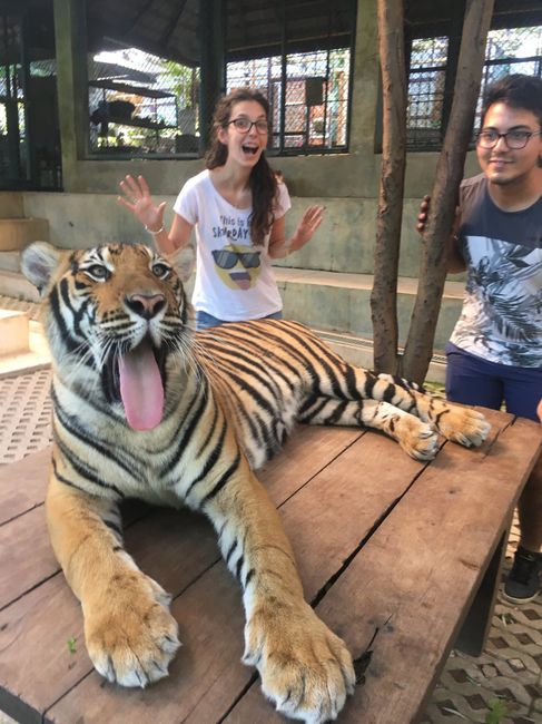 La nostra luna di miele - 9