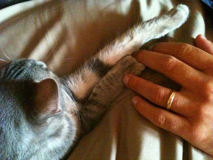 Una foto per descrivere il 2014! ;-) - 1