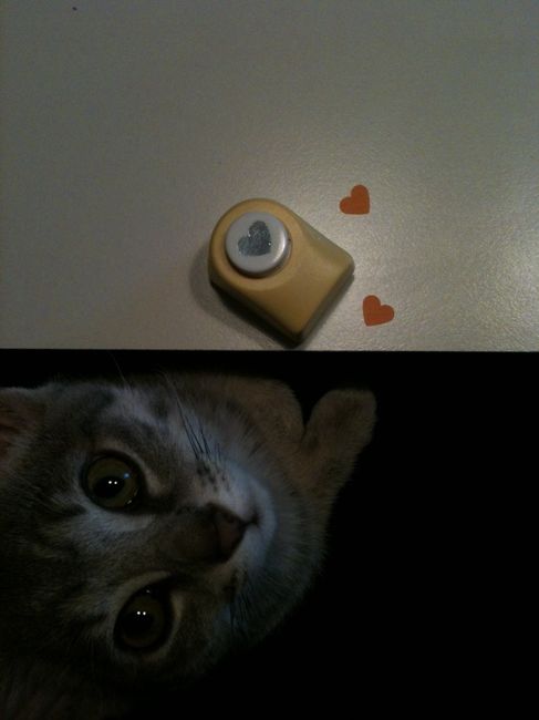 La mia piccola aiutante! - 1