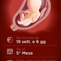 Countdown gravidanza - 1