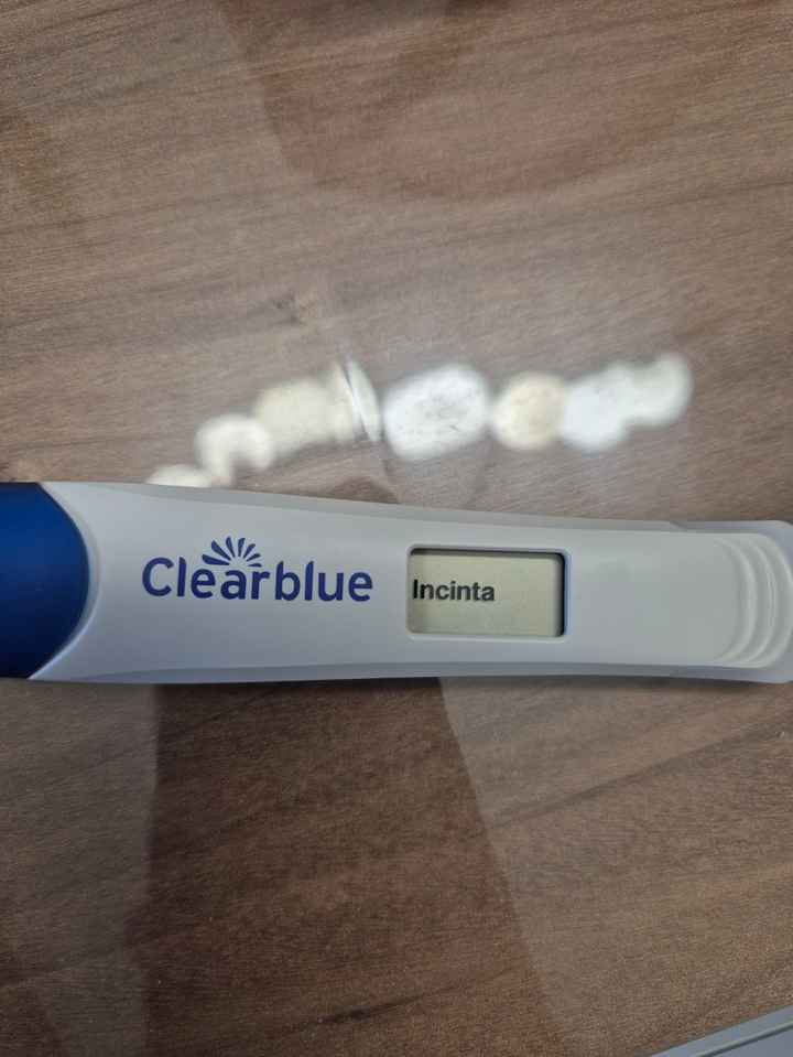 Chi non le aspetta per agosto 🍼🍼🏖️ - 1