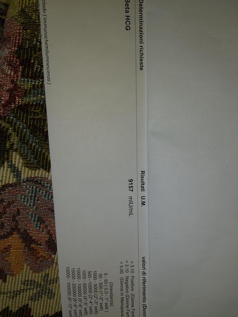 Ritardo di 4giorni 1