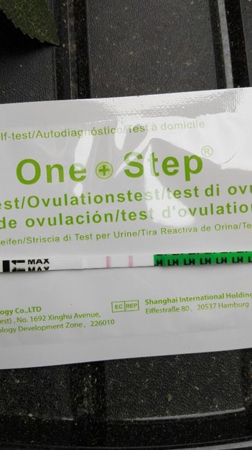 Test ovulazione positivo? - 1