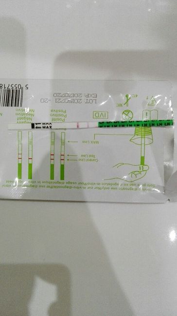 Test ovulazione positivo? - 2