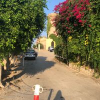 Sposine del castello san nicola l arena venite a me - 3