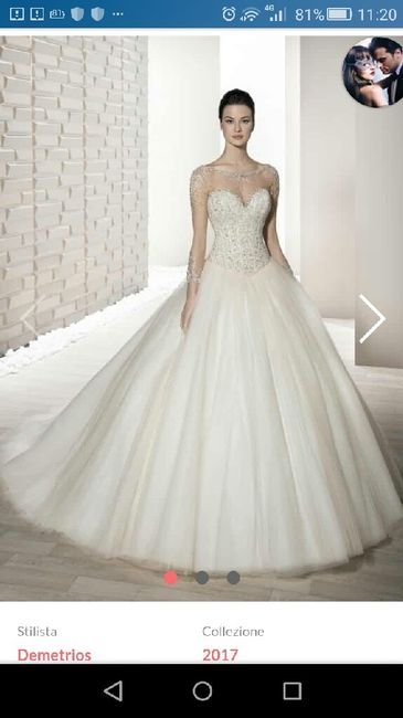 Confusione di famiglie - 2