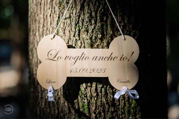 Fedi portate dal mio cane - 1