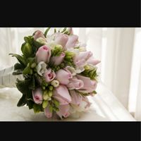 Tema del matrimonio??????? - 1