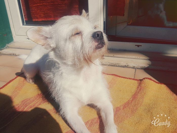 Serata nostalgica - 1