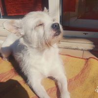 Serata nostalgica - 1