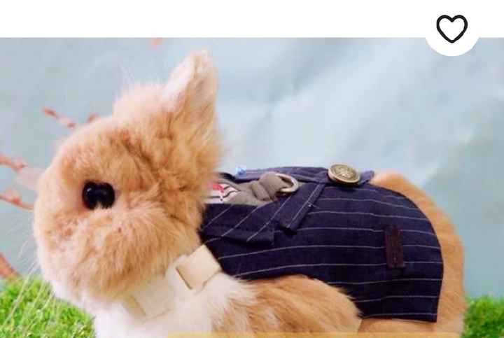 Chi vi porterà le fedi??? - 3