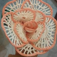 Colore cerimonia.. - 1