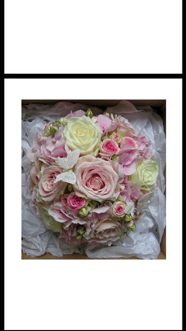  e se scegliesse il fm? - 2