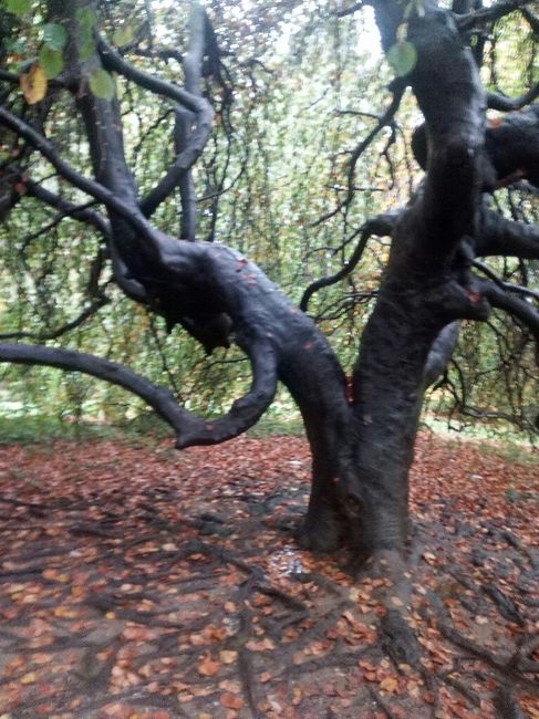  Gli esterni della location - 3