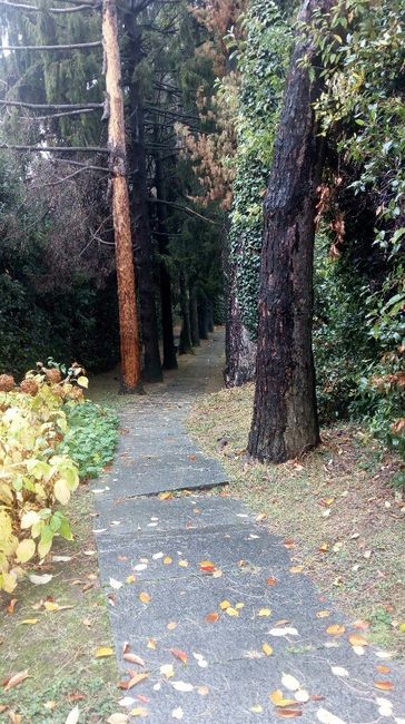  Gli esterni della location - 5