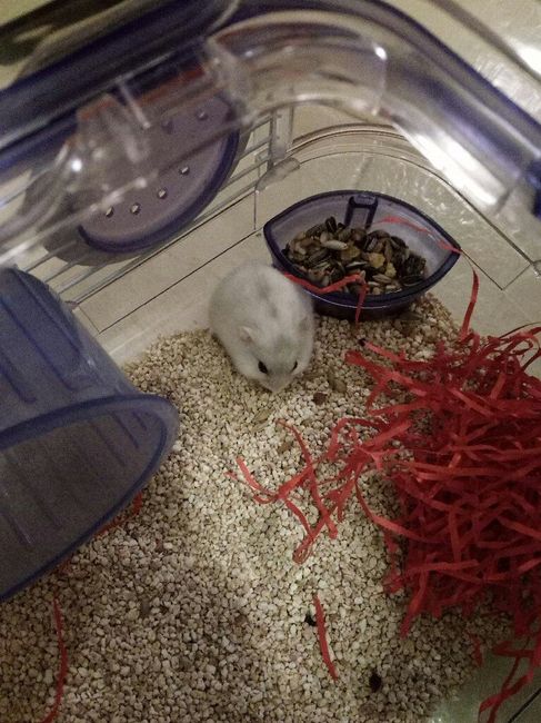  La famiglia si allarga 😂 - 1