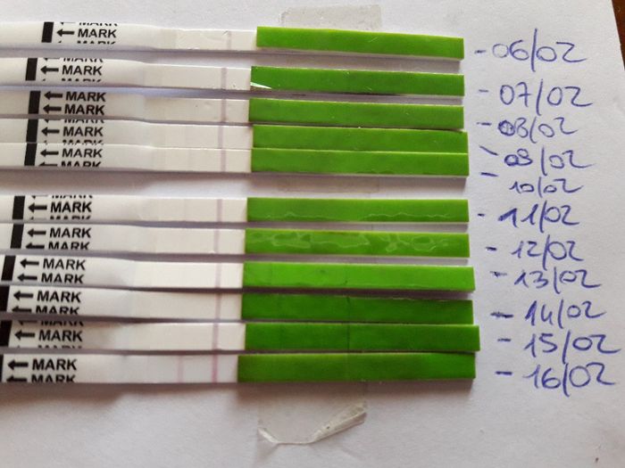 stick Ovulazione- help me 4