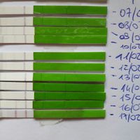  stick Ovulazione- help me - 1