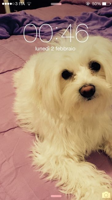 Le foto dei vostri animali - 1