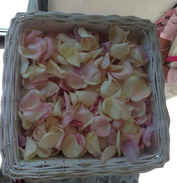 Lancio del riso, help!!! - 1