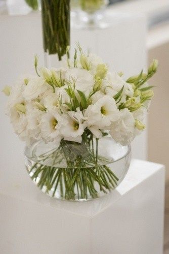 Nuova iscritta 😊 - 2