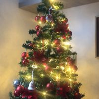 Avete mai fatto l'albero insieme? - 1