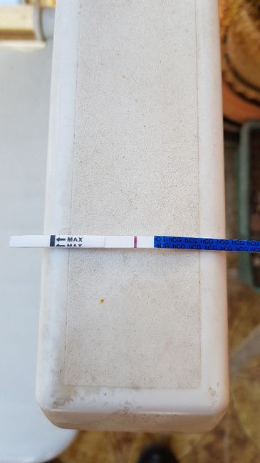Sintomi e test di gravidanza. 1