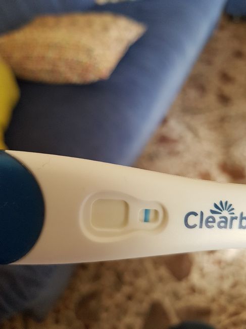 Sintomi e test di gravidanza. 4