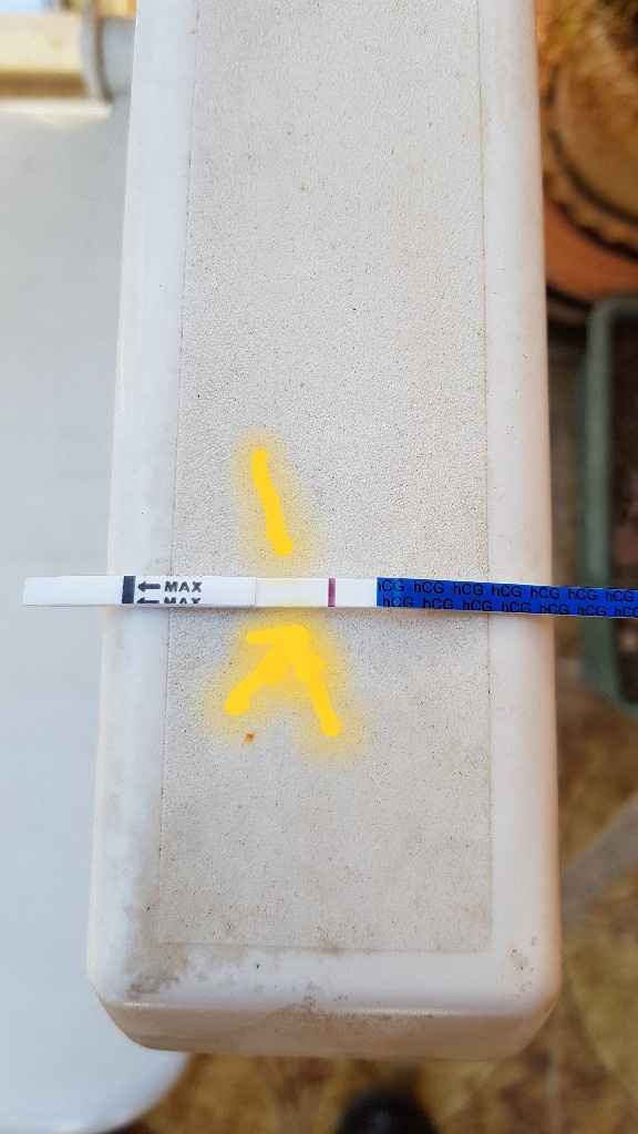 Sintomi e test di gravidanza. - 1