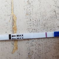 Sintomi e test di gravidanza. - 1