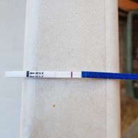 Sintomi e test di gravidanza. - 1