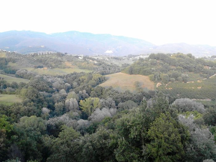 Ragazze di tutte le regioni. ..perché - 5