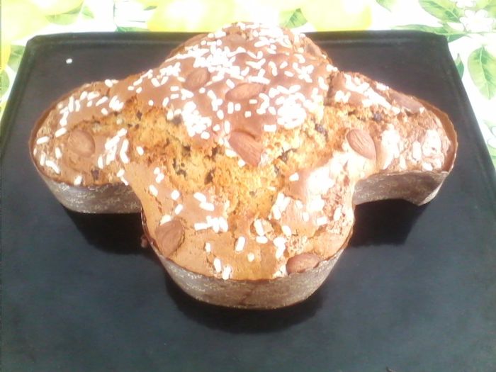 La mia colomba pasquale - 1