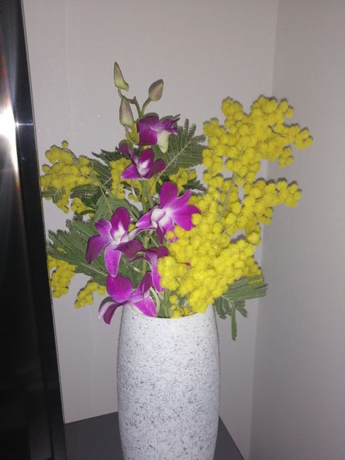 Mostratemi le Mimose! - 1