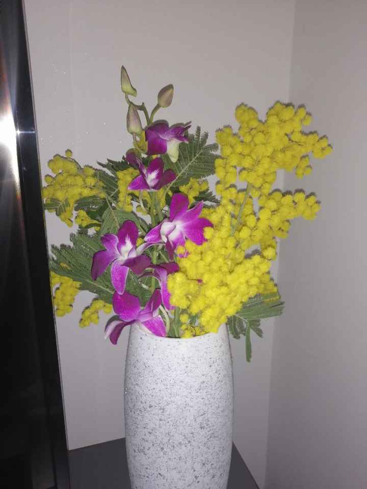 Mostratemi le Mimose! - 1