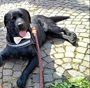  Invitato d'onore.. - 1