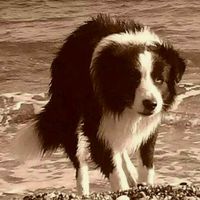 Finalmente marito e moglie. - 1