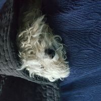 Il nostro piccolino - 1