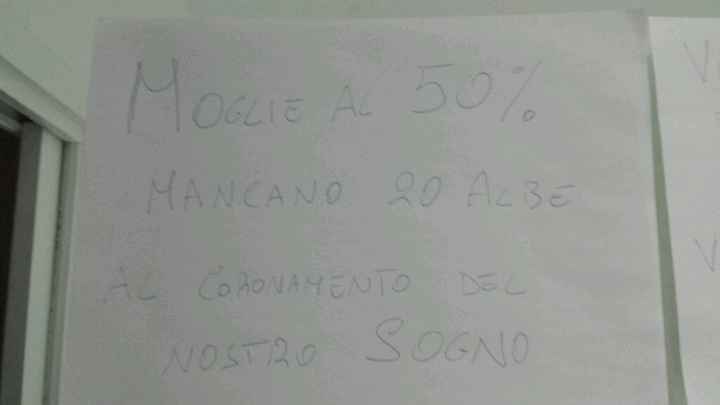 A -20 giorni.... la proposta - 2