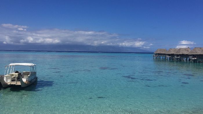 Moorea Spiaggia di Temae (Sofitel)