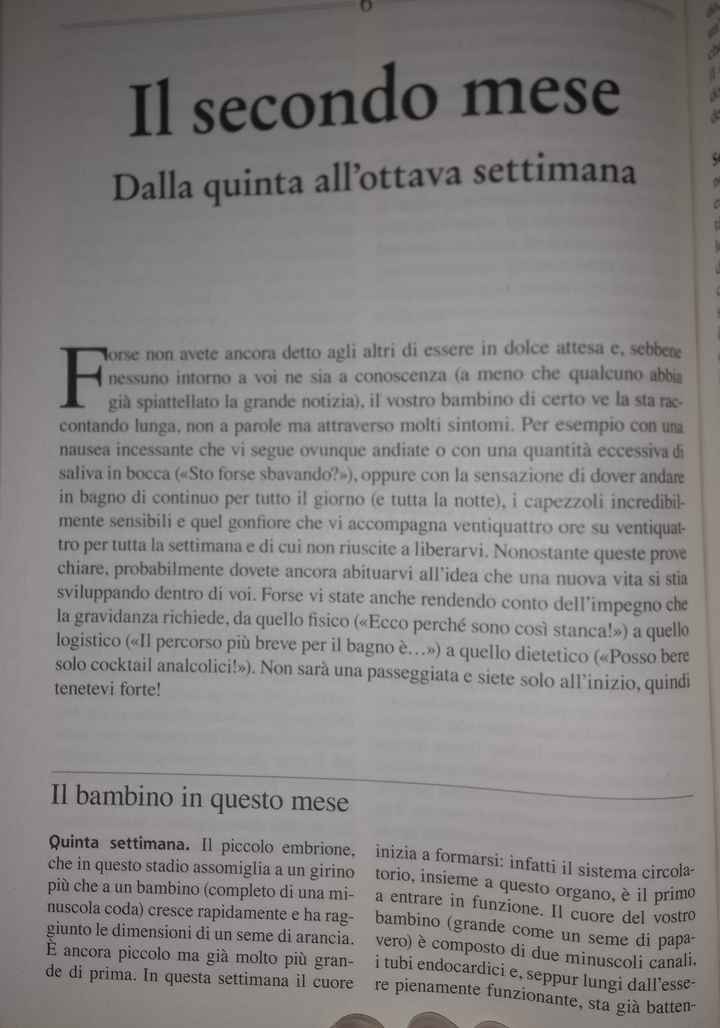 Libro Gravidanza 1