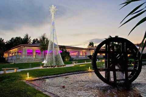  Sposarsi a Natale - 3