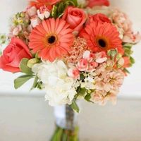 Il bouquet di quale admin scegli? - 1